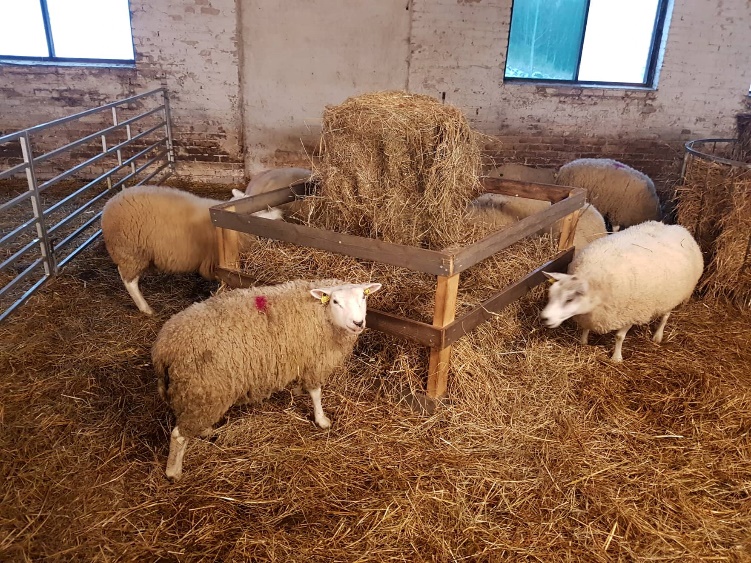 Puidust heinarulooni hoidja. Eesti valgepealised lambad.